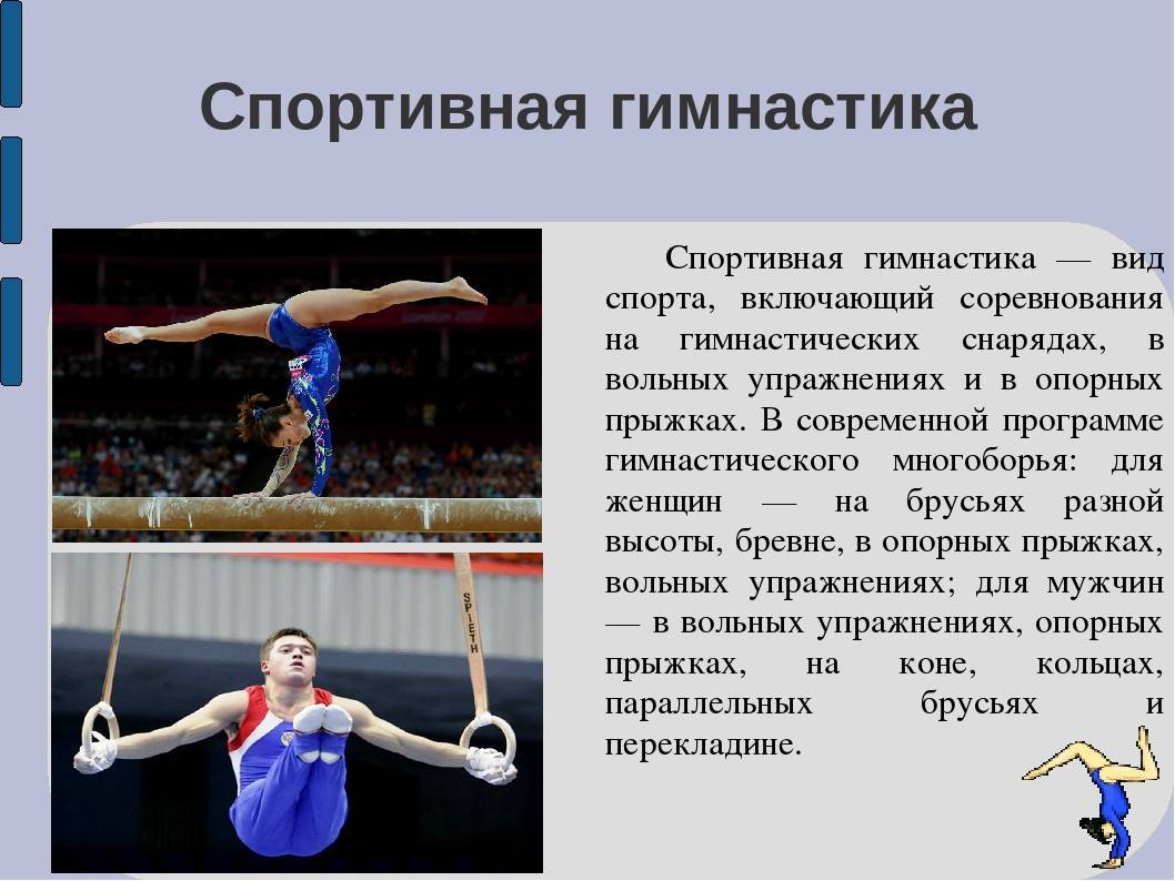 Отличия спортивной гимнастики от художественной: что выбрать?