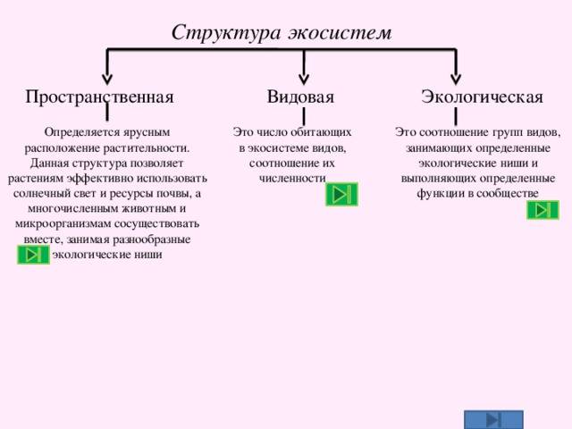 Биоценоз, биотоп, экосистема