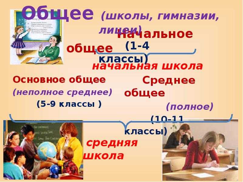 Что такое лицей и гимназия определение. чем гимназия отличается от школы: особенности, отличия и отзывы