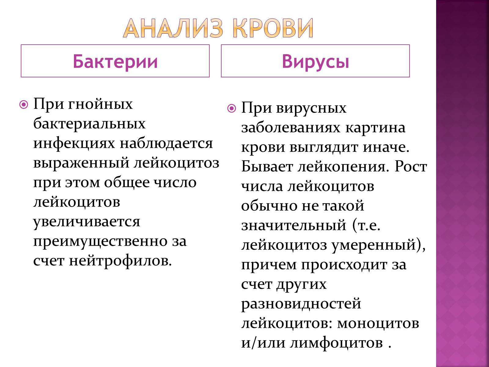 В чем разница между микробами, бактериями и вирусами?