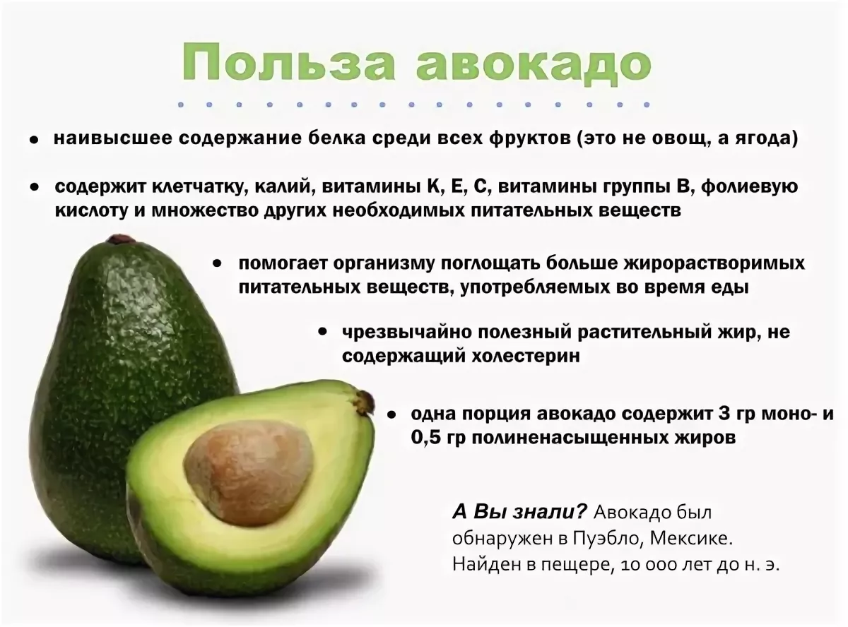 Чем можно заменить в кулинарии, стевию, агар агар, желатин, кокосовое масло, орегано, маскарпоне, рикотту, тимьян, шафран. справочник повара. справочник кулинара: чем заменить необходимые составляющие рецепта
