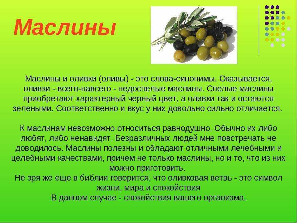 Чем оливки отличаются от маслин, в чем разница, как отличить