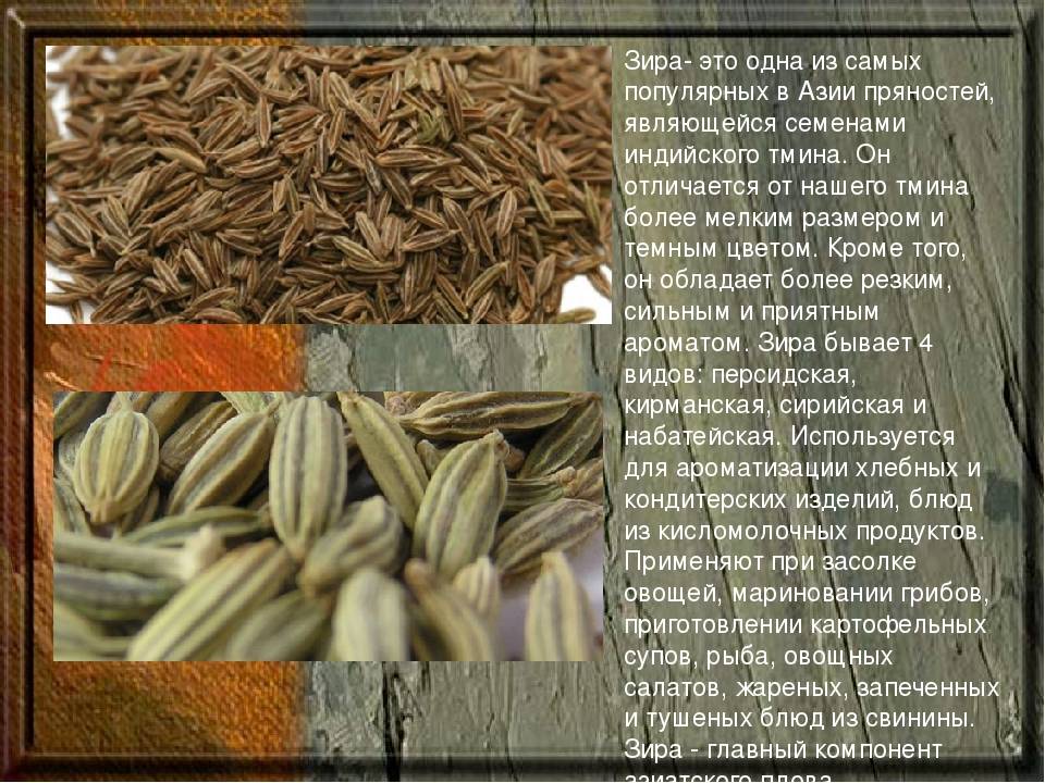 В чем разница между тмином и зирой - сравнение характеристик, вкусовых качеств и применения этих пряностей в кулинарии - skazhivoprosy.ru