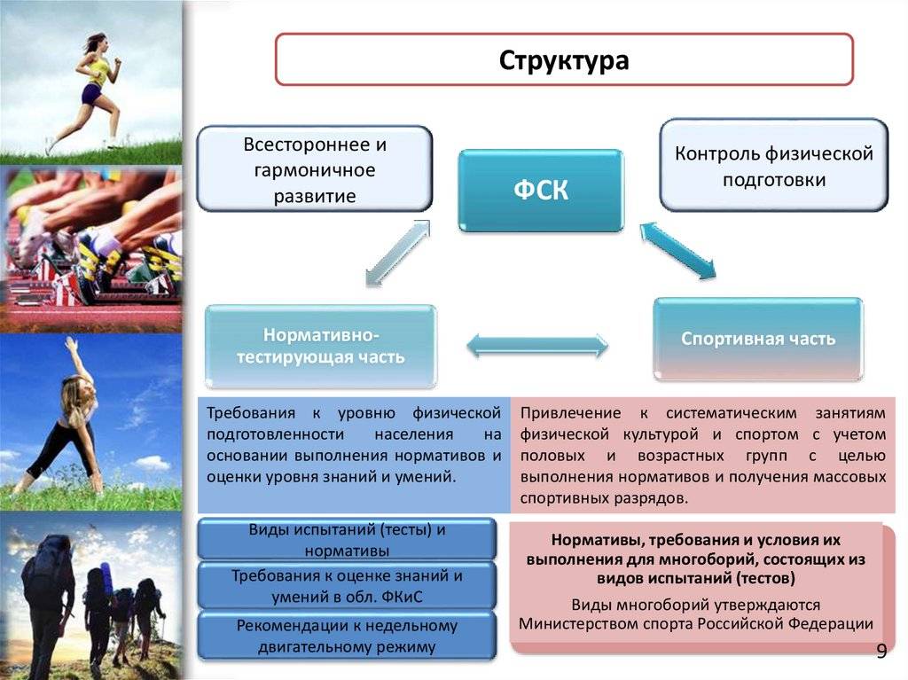 Что такое первенство и чемпионат: основные отличия и функции