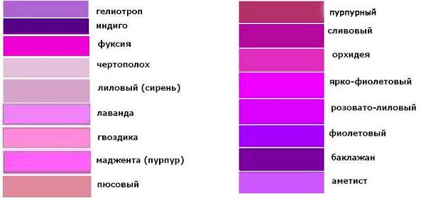 Как отличить фиолетовый от сиреневого цвета? отличие сиреневого от фиолетового цвета
