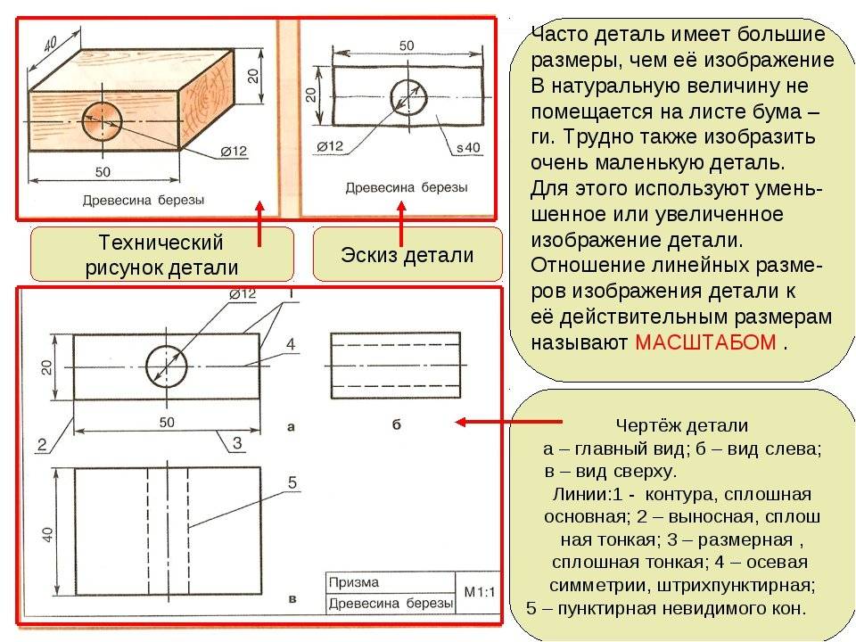Чем отличается эскиз от чертежа: сравнительная характеристика. технические приёмы и способы их выполнения что из эскизов рождается