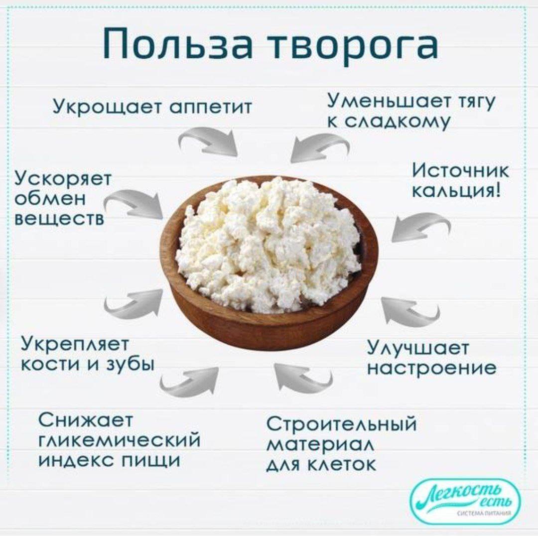 Различия творога и твороженной массы чем отличаются творог и твороженная масса? и что полезней ? - все о еде
