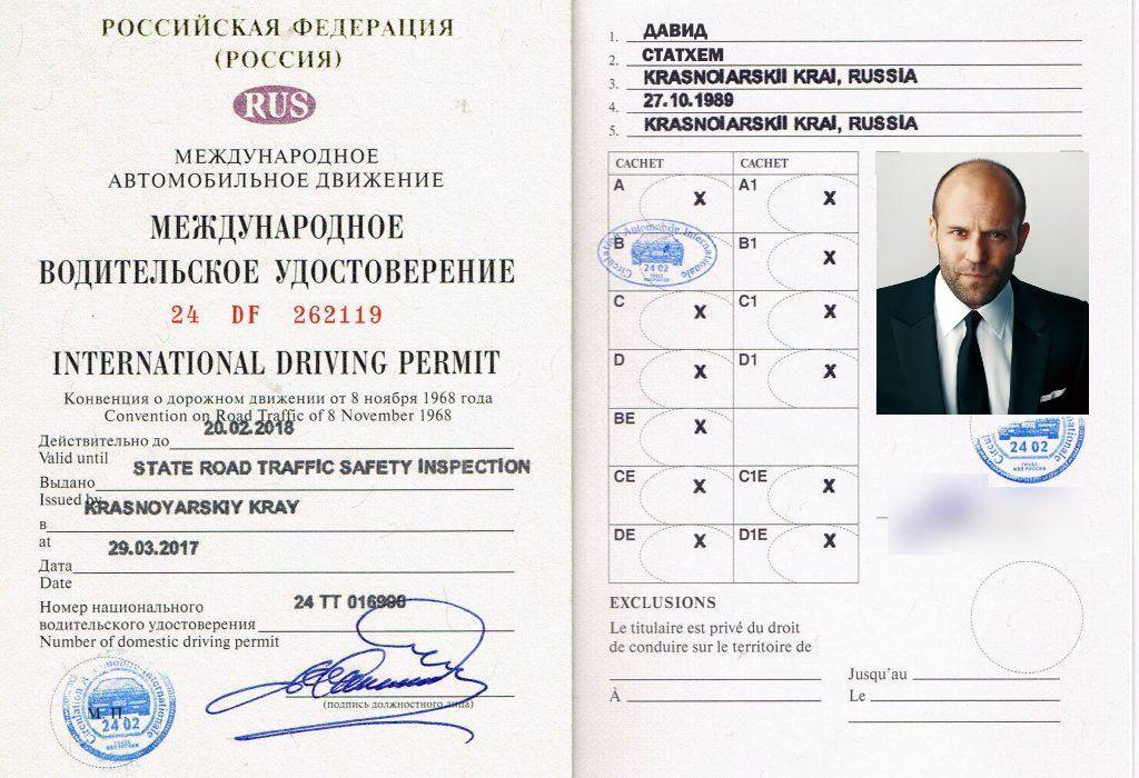 Национальное водительское удостоверение: отличие от международных прав