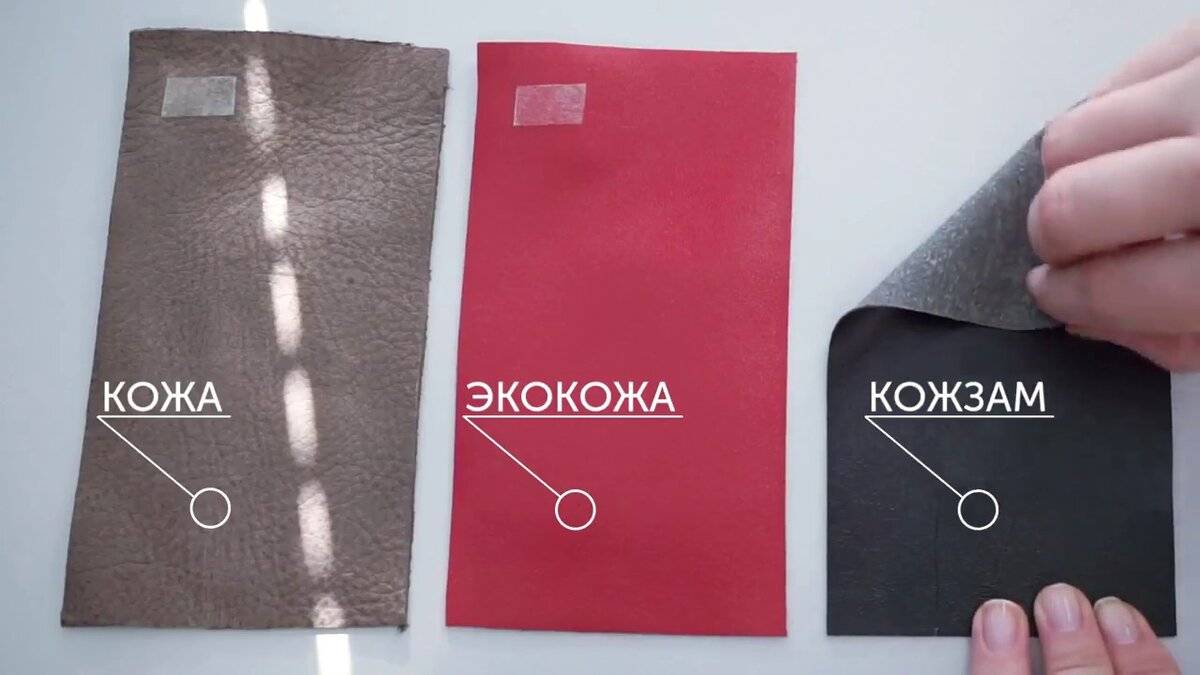 Какие авто чехлы лучше — с экокожи, кожи или алькантары? | auto-gl.ru