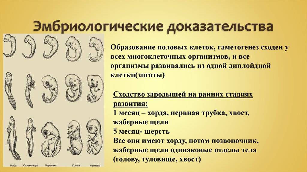 Биология