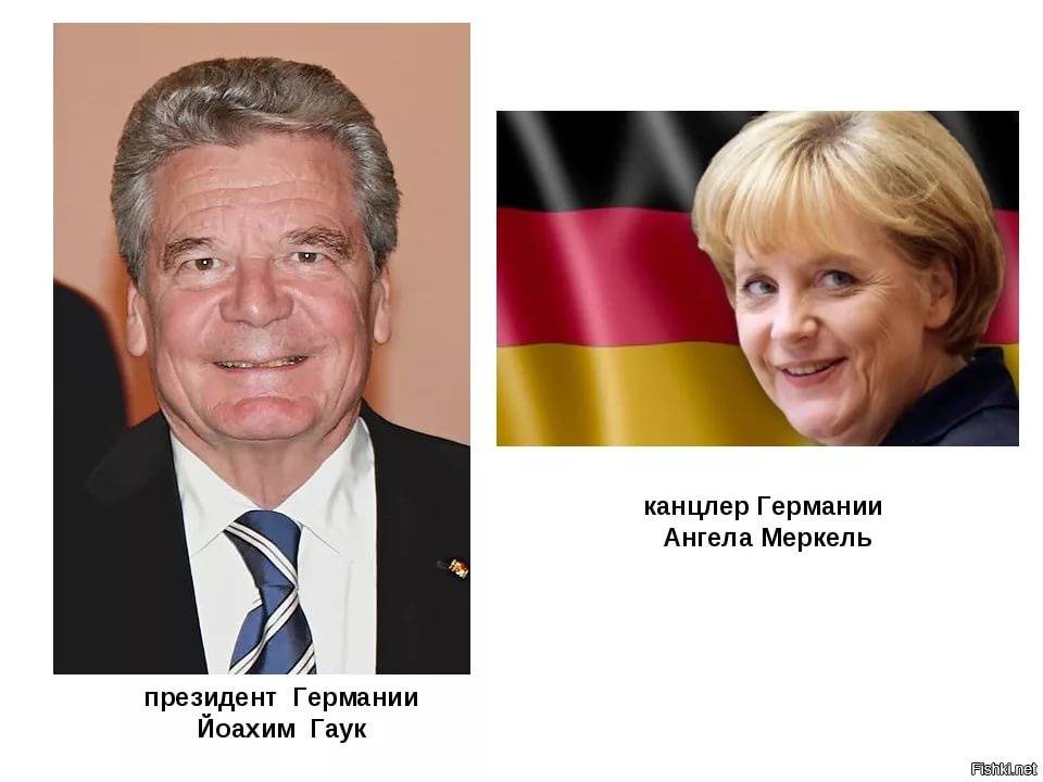 Органы власти в германии: бундестаг, правительство, бундесрат, президент, канцлер, земельные власти