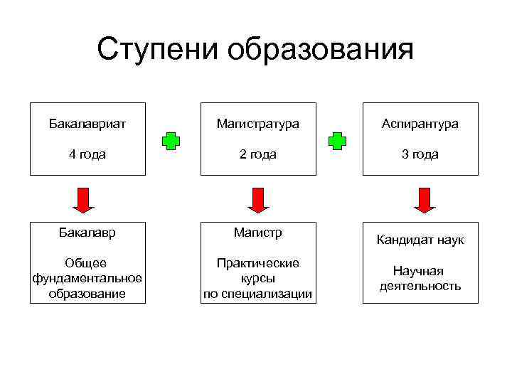 В чем отличие бакалавра от специалиста и магистра
