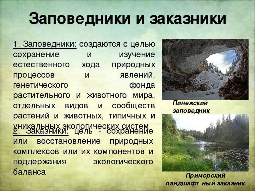 Зачем россии заповедники