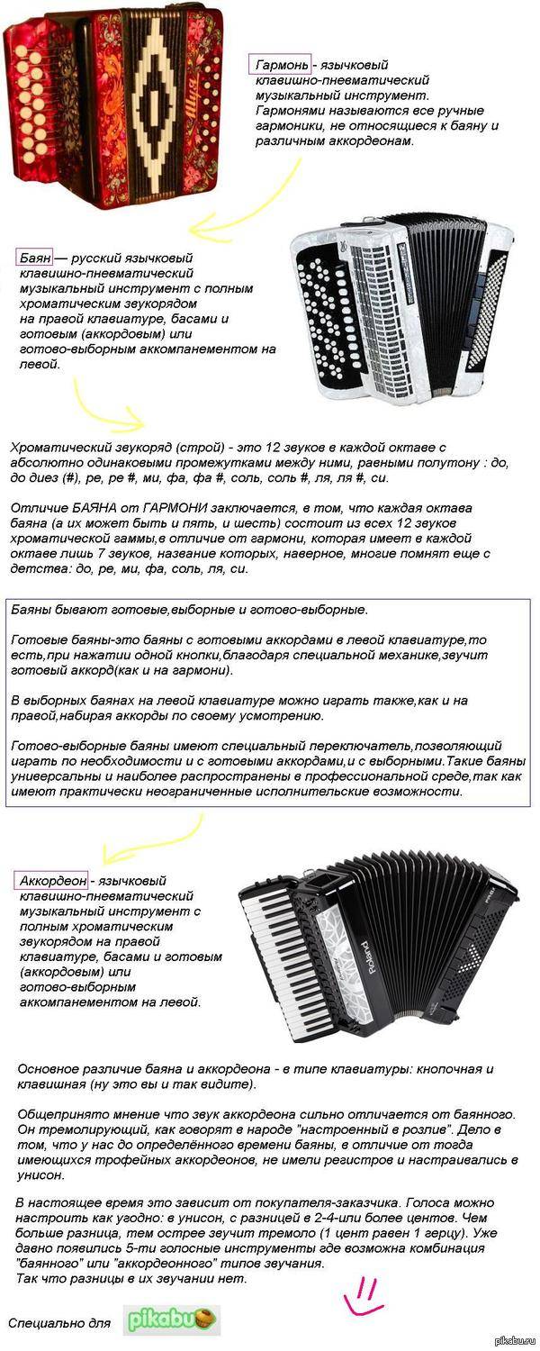 🎼 лучшие баяны и аккордеоны на 2024 год