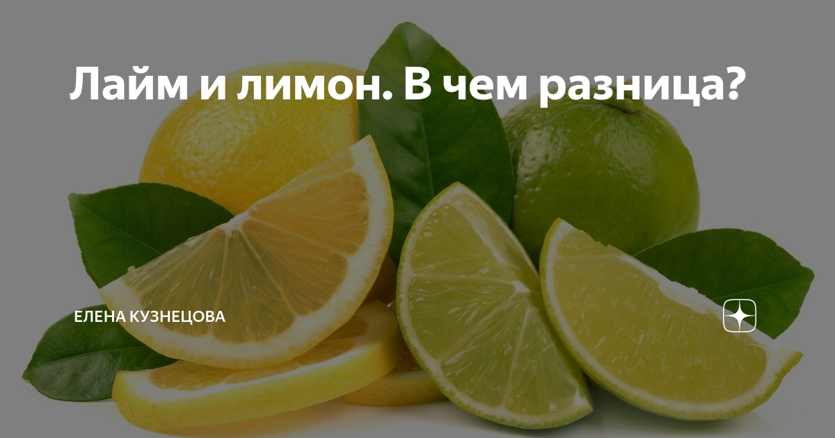Что полезнее для здоровья лайм или лимон | польза и вред
