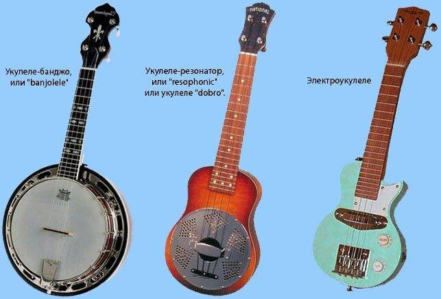 В чем существенные отличия гитары и укулеле