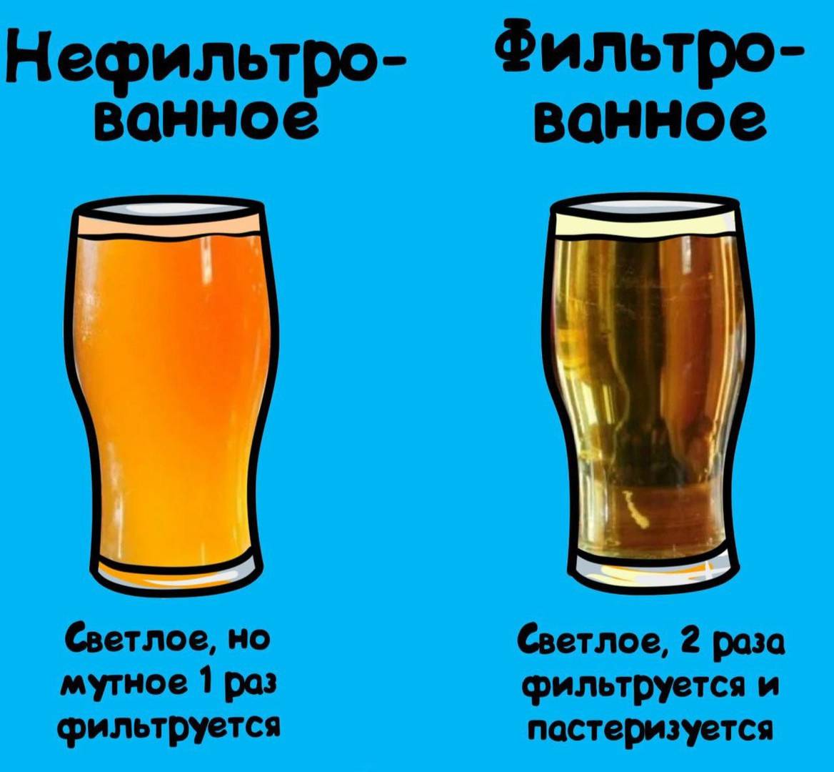 Чем отличает пиво от пивного напитка