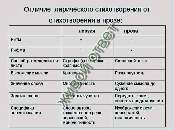 Какие отличия стихотворений вы можете назвать. Поэзия и проза различия. Сравнение прозы и поэзии. Отличие прозы от стихотворения. Отличие прозы от поэзии.