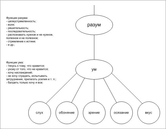 Чем отличается сознание от разума? | в чем разница
