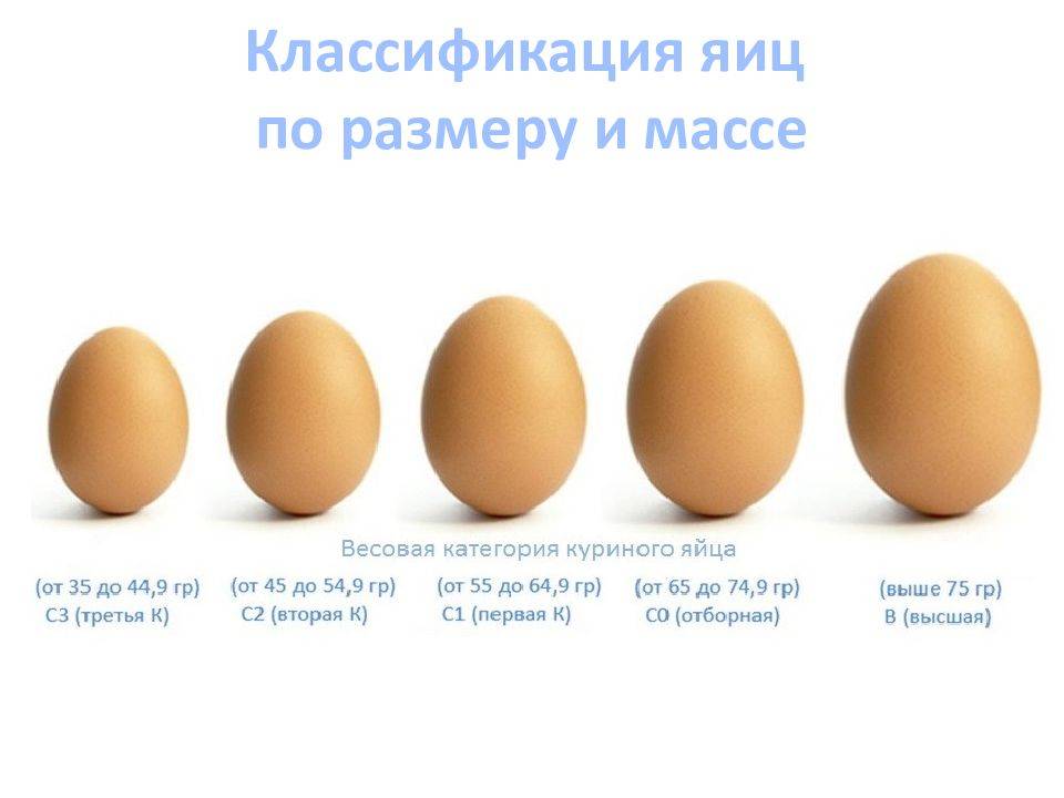 Что означают категории яиц?