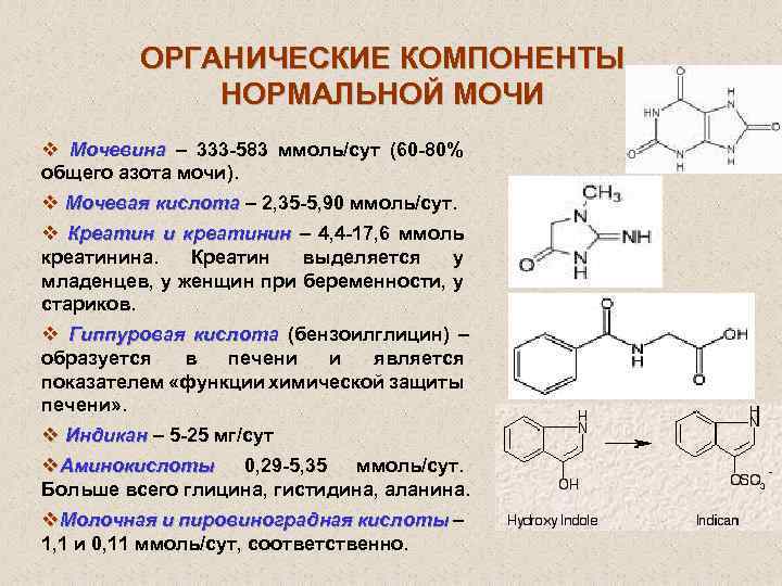 Если мочевая кислота в крови повышена — что делать?