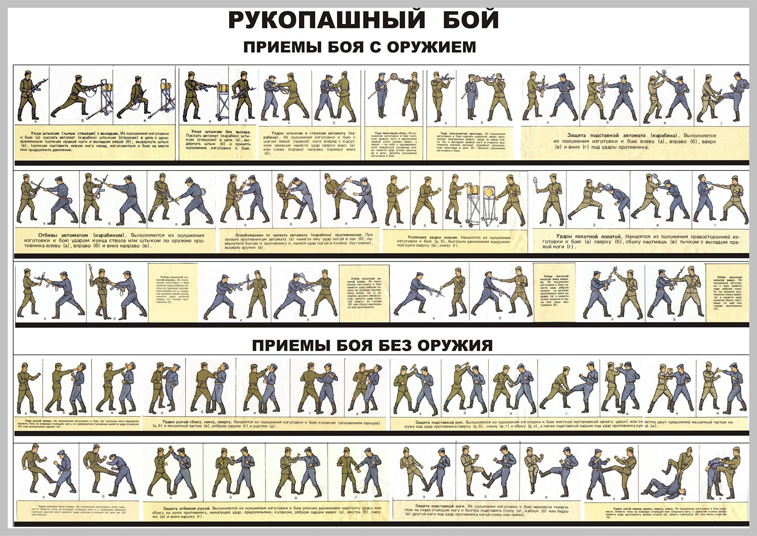 Какой вид единоборств выбрать - советы, сравнения, лучшие варианты