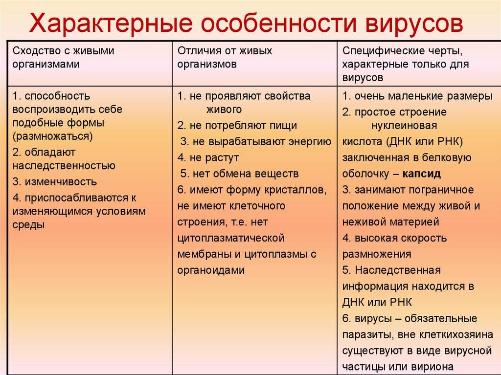 Чем отличается вирус от бактерии и что у них общего | в чем разница