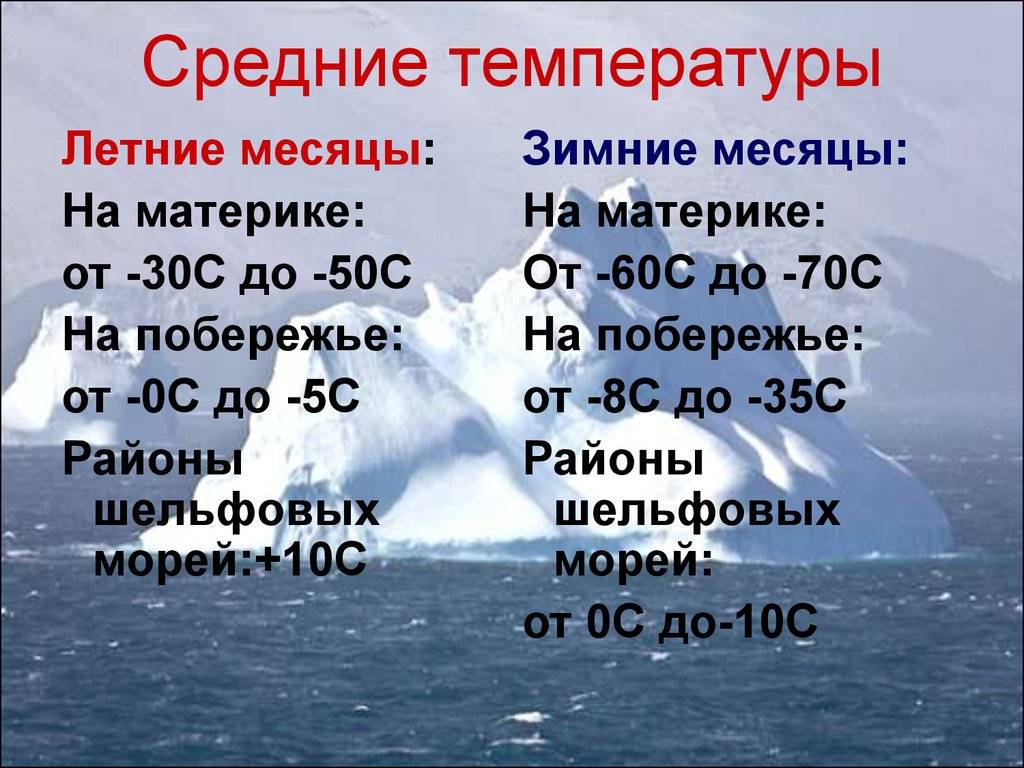 Чем отличается арктика от антарктики и антарктиды и что у них общего?