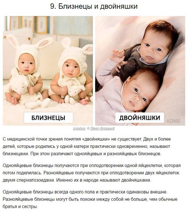 Чем отличаются близнецы от двойняшек - от чего зависит, различия