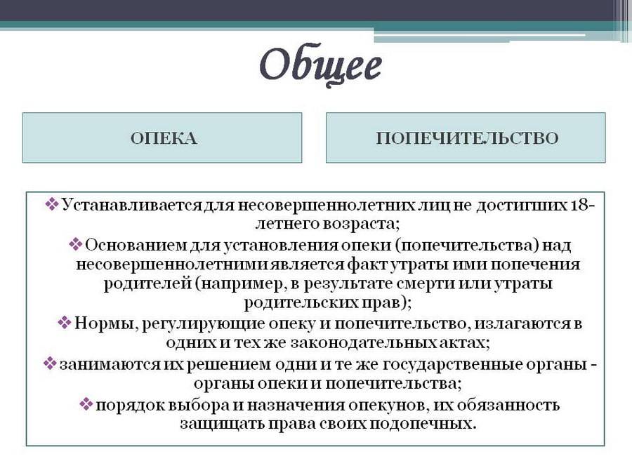 Опекун и попечитель: в чем разница и основные отличия между формами семейного устройства детей