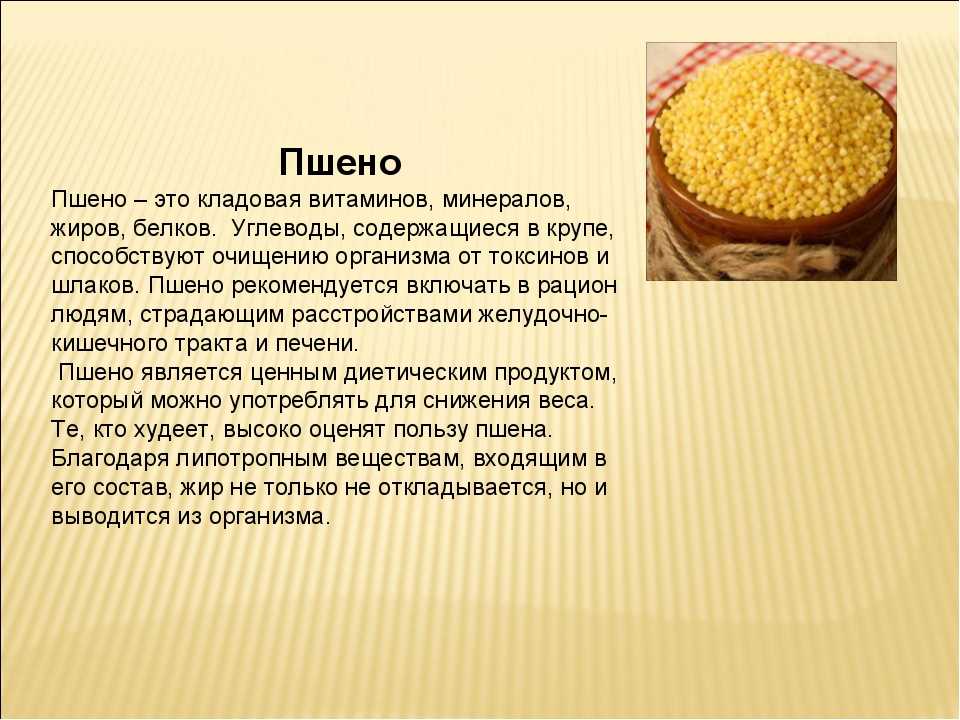 Что мы знаем о просо и с чем его едят