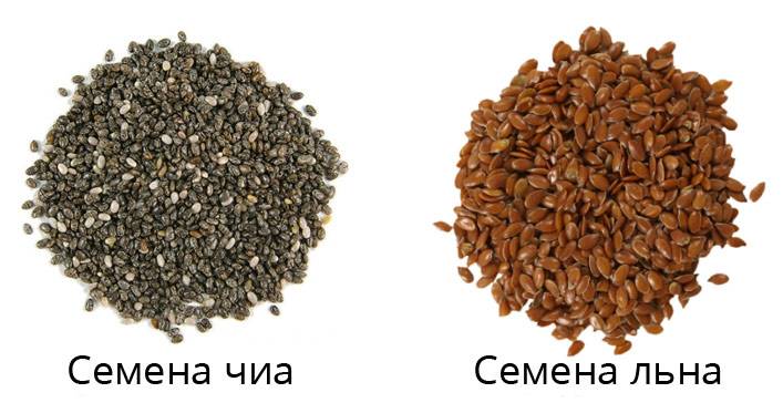 Что лучше и полезнее семена чиа или льна?