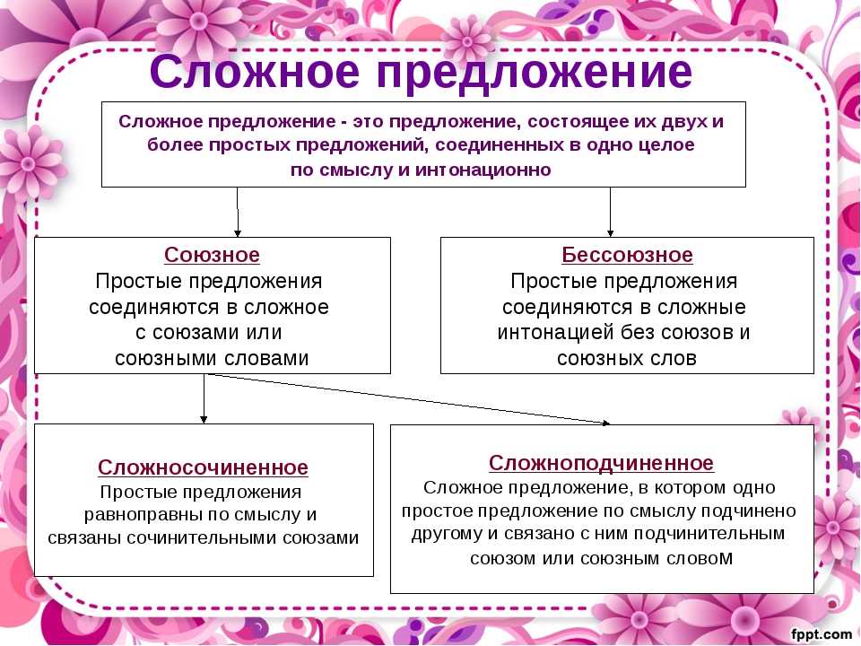 Чем простое предложение отличается от сложного | в чем разница