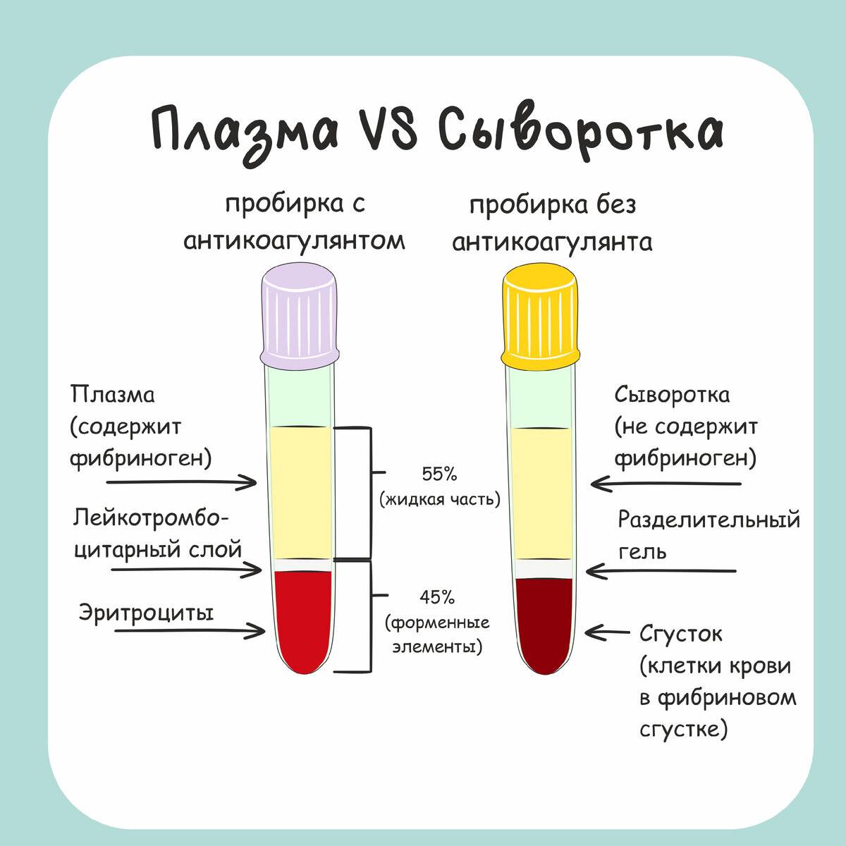 Сыворотка крови человека: что это такое, функции, отличие от плазмы, как ее получить