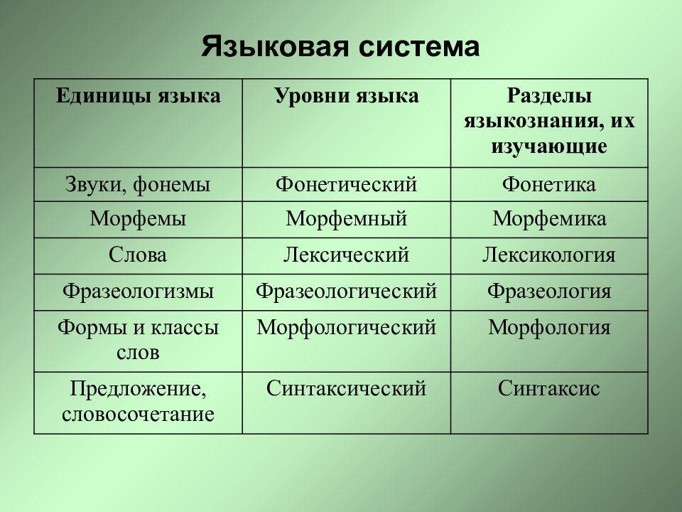 Процедуры и функции в python: основные понятия и примеры использования