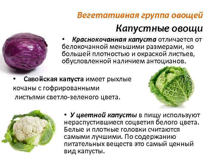 Что полезнее брокколи или цветная капуста? | питание и наука