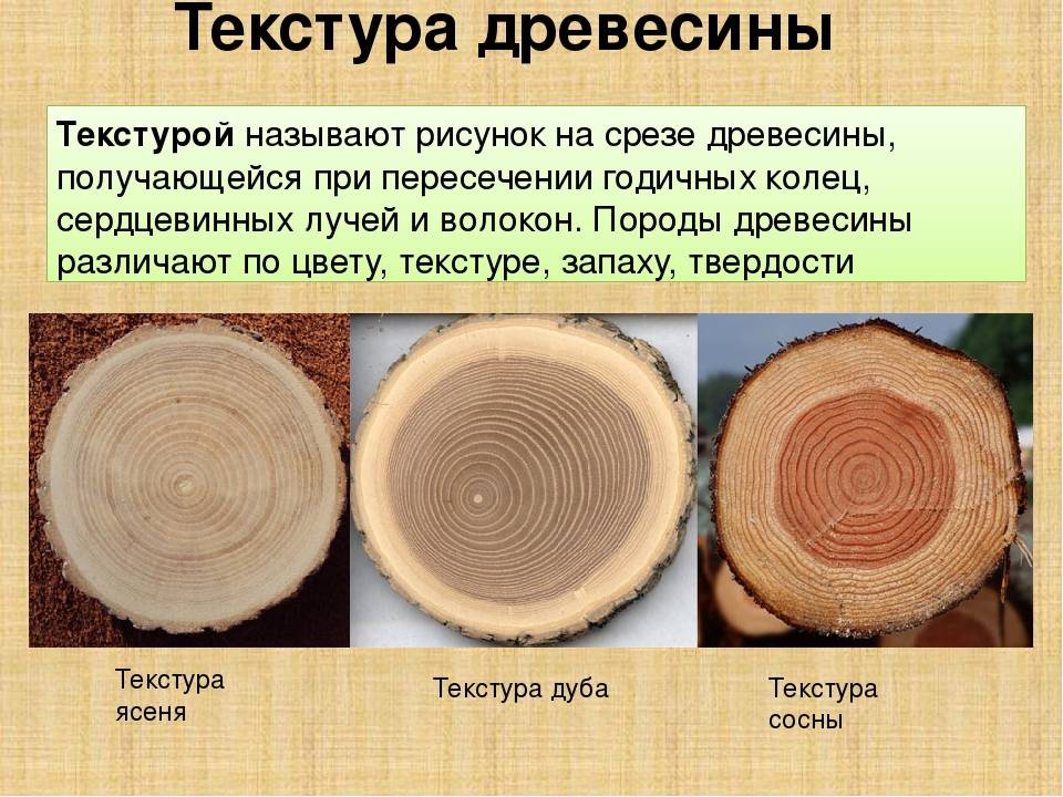 Определение Породы По Фотографии