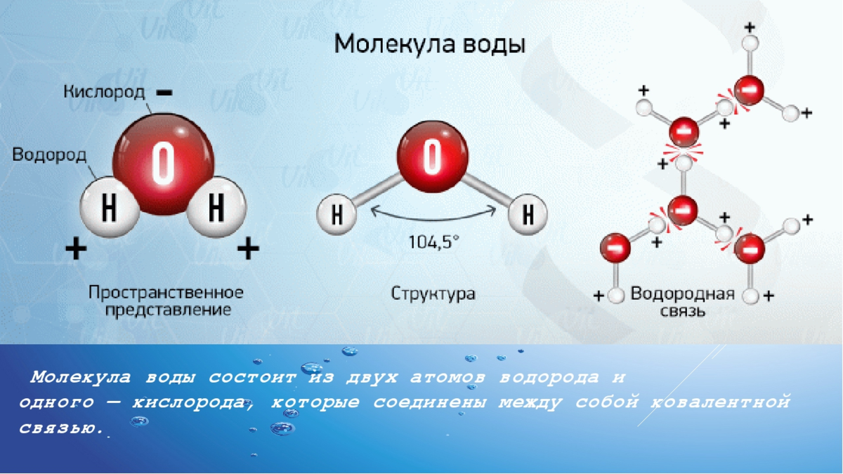 Какое строение имеет молекула воды