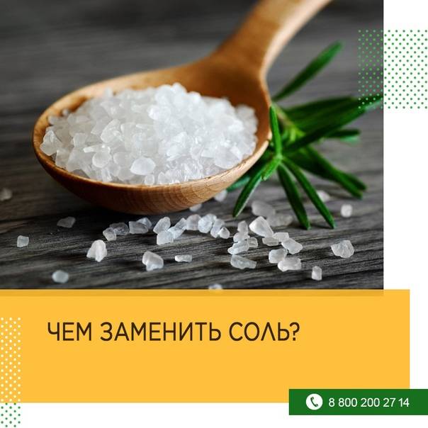 Чем можно заменить соль?