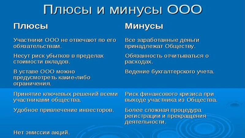 Чем физическое лицо отличается от юридического | в чем разница