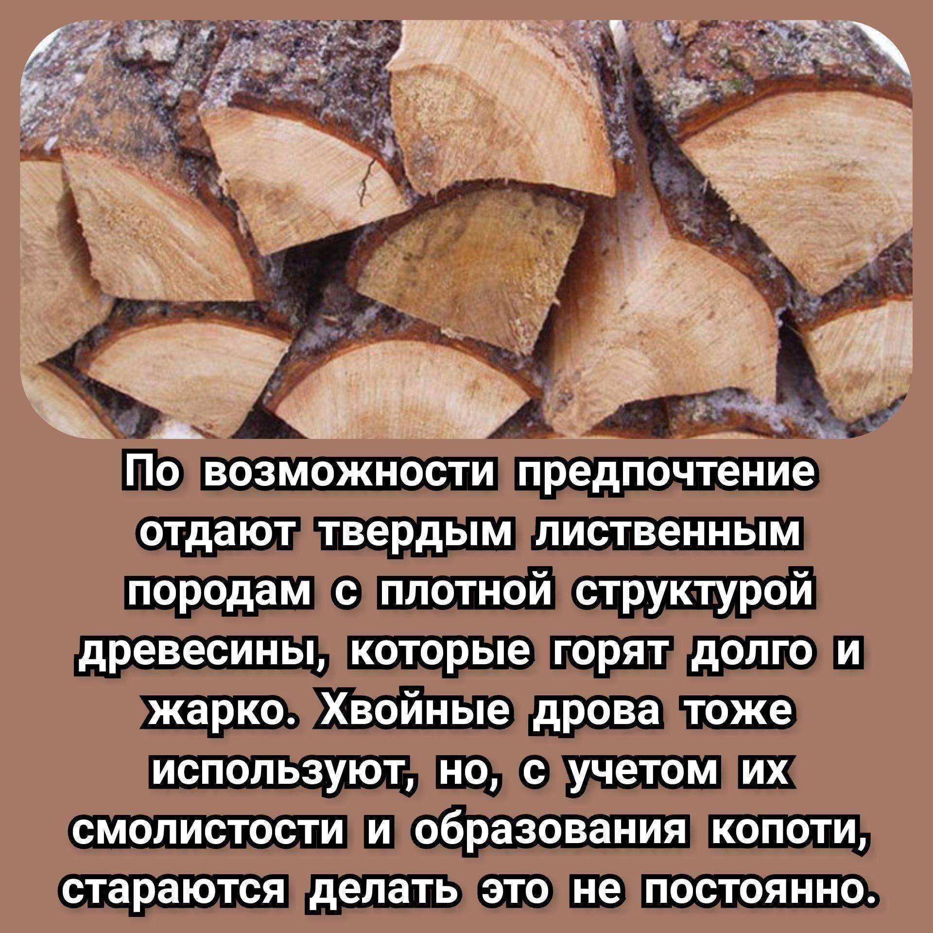 Дрова из ольхи или березы: какие лучше?