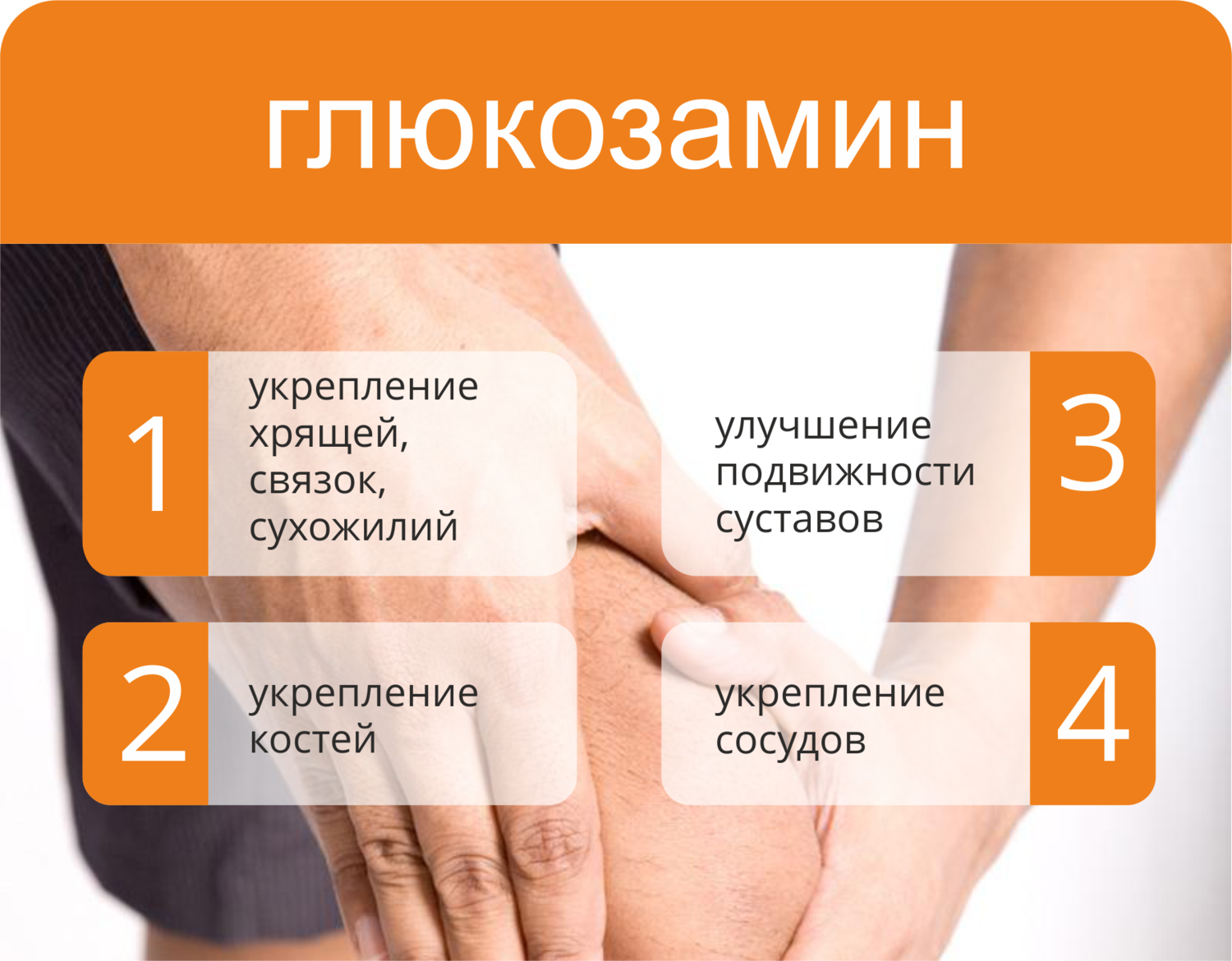 Препараты хондропротекторы: профанация или истина?