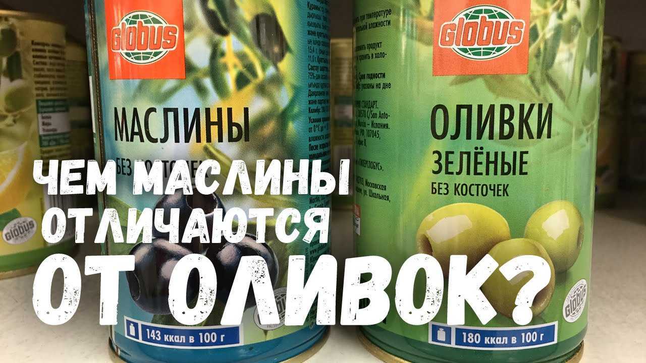 Маслины и оливки, в чем разница