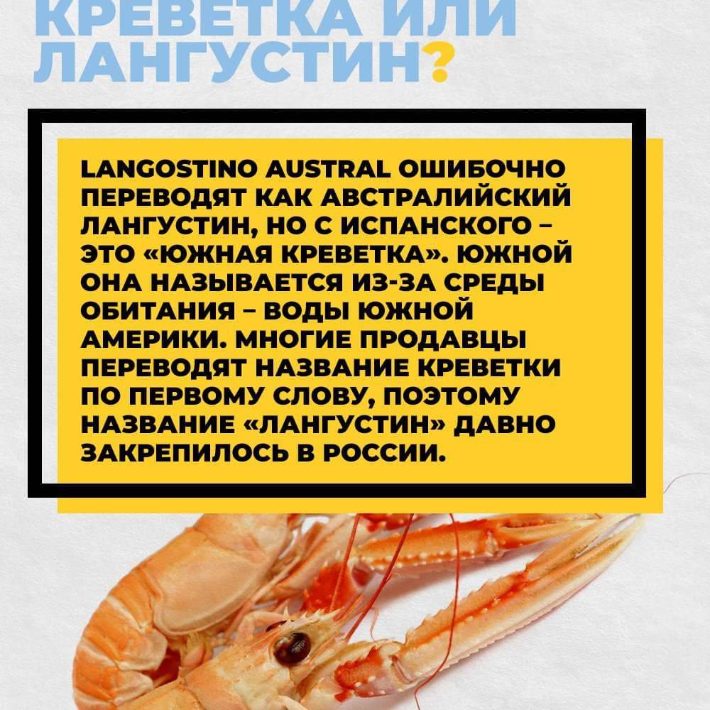 Лангустины - что это такое, отличия от креветки, польза, состав