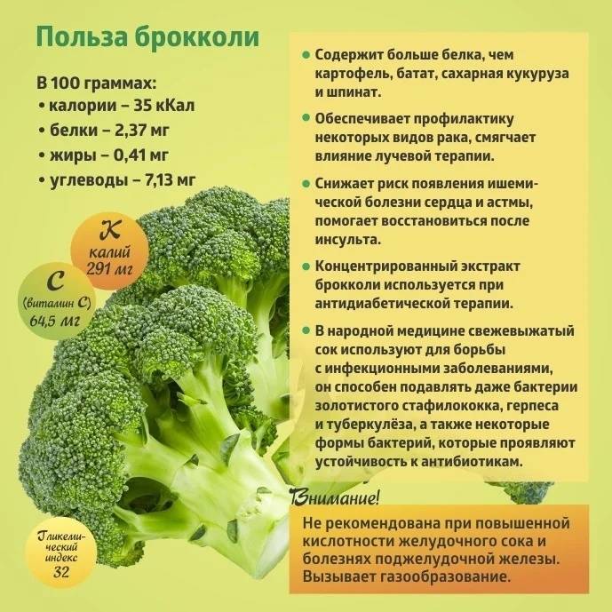 Цветная капуста и брокколи — чем они отличаются | в чем разница