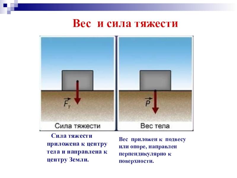 Вес тела • 7 класс • физика • образавр