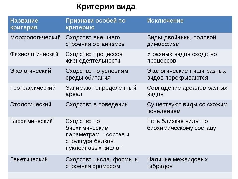 В чем заключается отличие в строении плиты от строения щита - основные принципы и характеристики - voprostop.ru