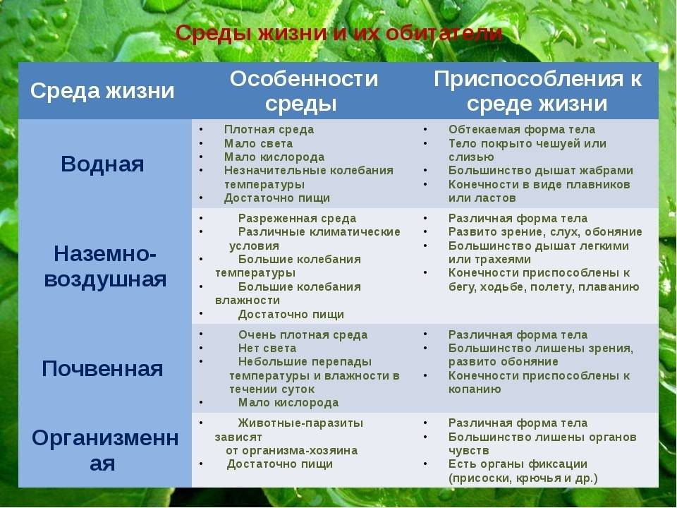 § 11. наземно-воздушная среда жизни. адаптации организмов к жизни в наземно-воздушной среде