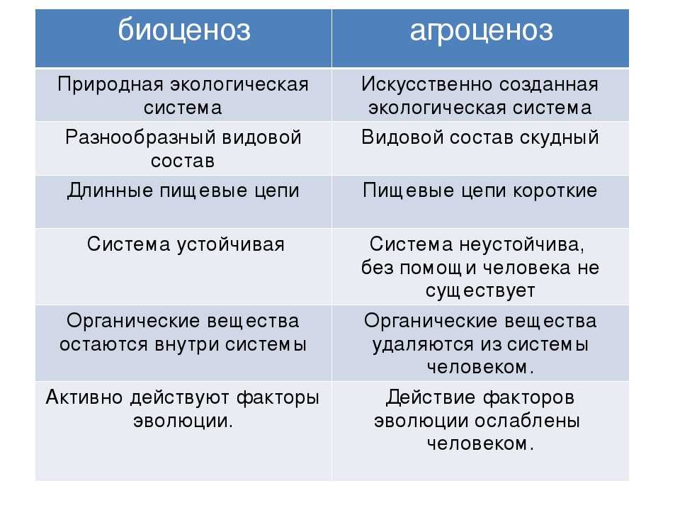 Биогеоценоз ⭐️ в биологии это: определение, его структура, свойства и основные характеристики