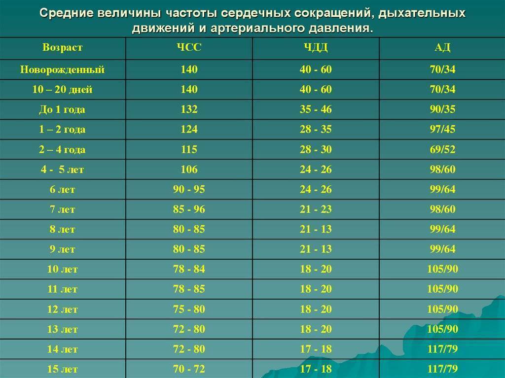 Пульс у взрослого человека: показатели нормы, отклонения и их причины